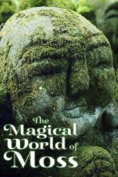 Nonton film The Magical World of Moss (2023) terbaru rebahin layarkaca21 lk21 dunia21 subtitle indonesia gratis