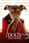 Nonton film A Dog’s Way Home (2019) terbaru rebahin layarkaca21 lk21 dunia21 subtitle indonesia gratis