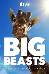 Nonton film Big Beasts terbaru rebahin layarkaca21 lk21 dunia21 subtitle indonesia gratis